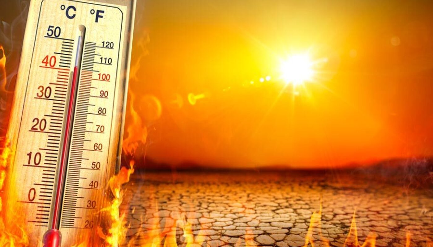 Heatwave Warning: Looking After Yourself in Hot Weather ☀️