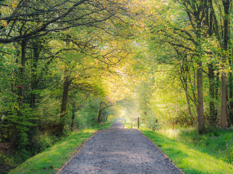 woodland park in Worcestershire